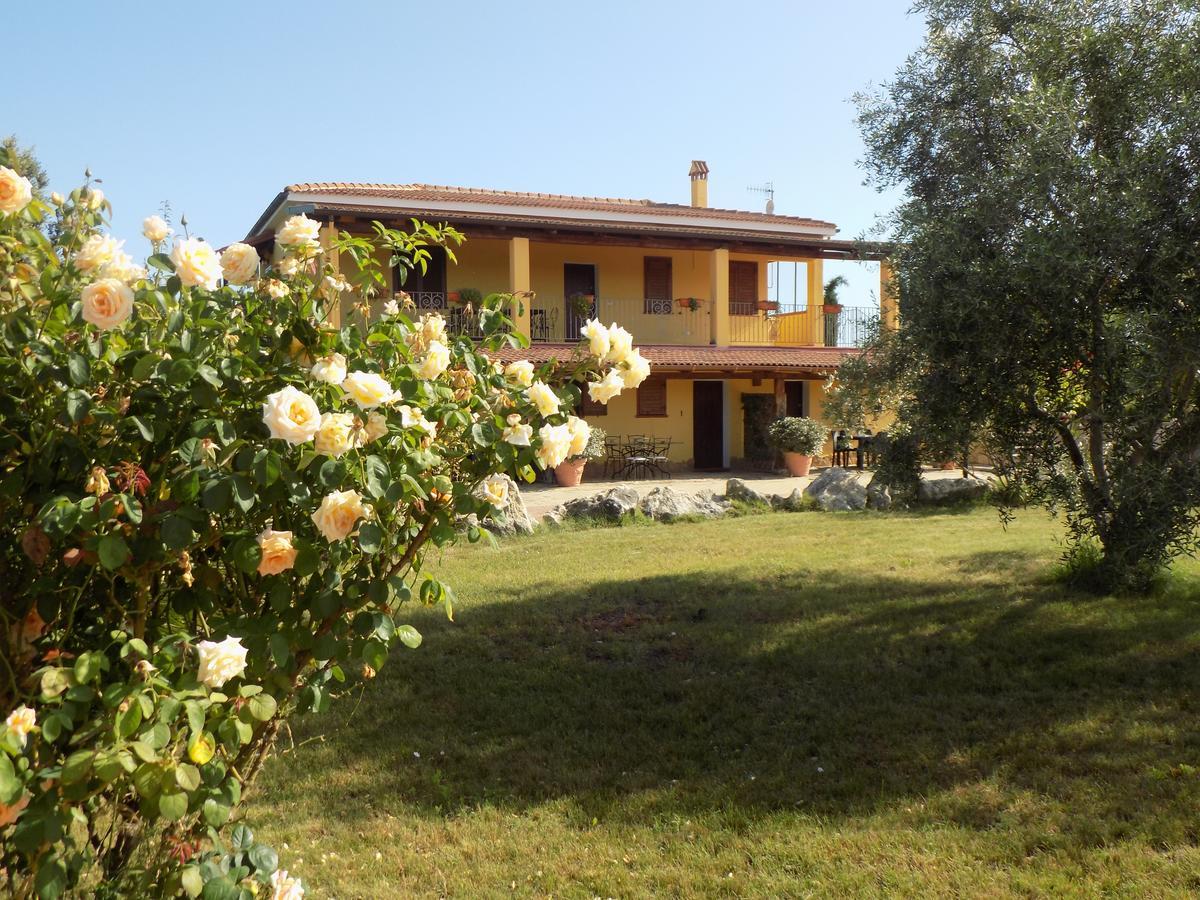 Villa Sorrentina アルゲーロ エクステリア 写真