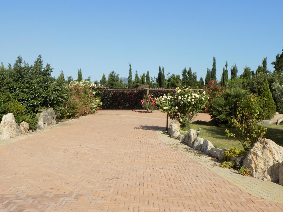 Villa Sorrentina アルゲーロ エクステリア 写真